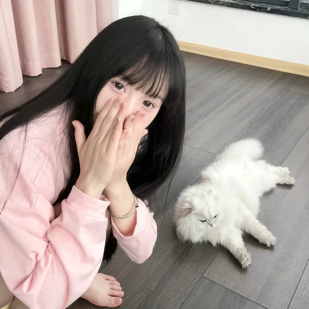 丢羊